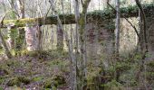 Trail Walking Gergueil - balcon de l'Ouche - Photo 9