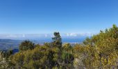 Tour Wandern Entre-Deux - Entre-Deux - Sentier Inard (boucle) - Photo 14