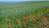 Tour Zu Fuß Grez-Doiceau - #200615 - Entre Bossut et Néthen en passant par La Malaise**** - Photo 10