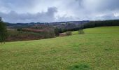 Tour Wandern Bouillon - Rochehaut 190323 - Photo 13