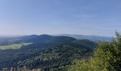 Excursión Senderismo Orcines - puy de dôme  - Photo 14