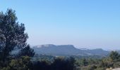 Tocht Stappen Saint-Rémy-de-Provence - Saint Remy - les Baux  - Photo 13