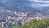 Tour Wandern Lagrasse - Lagrasse - Photo 4