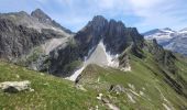 Trail Walking Pralognan-la-Vanoise - pointe de Leschaux - Photo 6