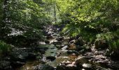 Tour Wandern Jalhay - La hoëgne juin - Photo 1