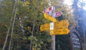 Trail On foot La Sagne - La Rochetta - Les Ponts-de-Martel - Photo 1