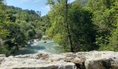 Excursión Senderismo Montauroux - Les gorges de la Siagne et les chênes pluricentenaires - Photo 17