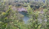 Trail Walking Comblain-au-Pont - poulseur . chanxhe . fays . monfort . poulseur - Photo 7