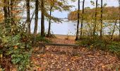 Randonnée A pied Froidchapelle - Balade au Lac de l'Eau d'Heure - Photo 4