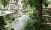 Percorso A piedi Weingarten - Über sanfte Hügel zur Schönen Aussicht - Photo 5