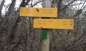 Trail Walking Montjoyer - Montjoyer 21 11 - Photo 3