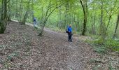 Trail Walking Viroinval - Olloy sur Viroin 23 km - Photo 15