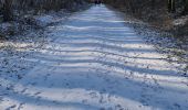 Trail Walking Liverdun - Liverdun - La grande boucle de Natrou - Photo 4