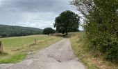 Tour Wandern Esneux - Esneux 20,5 km - Photo 7