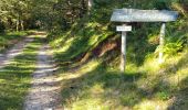 Percorso Marcia Xonrupt-Longemer - randonnée sur 2 jours des 5 lacs dans les Vosges ( longemer, blanchemer, lispach, Retournemer, de la lande) - Photo 13