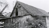 Tour Zu Fuß Friedrichroda - Ww Finsterbergen - Spießberghaus - Photo 3