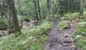 Tour Wandern Theux - Jehanster 25,2 km - Photo 8