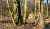 Trail On foot Haltern am See - Granat Rundweg A6 - Photo 3