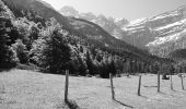 Excursión Senderismo Gavarnie-Gèdre - De Gavarnie à la Grande Cascade par l' Hôtellerie du Cirque et retour par le pont Nadau - Photo 7