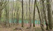 Excursión Senderismo Clarafond-Arcine - Entre Nant et Rhône  - Photo 6