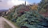 Excursión Senderismo Puy-Saint-Martin - SityTrail - 2741834 - 26-puy-st-martin-pr32 - Photo 3