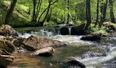 Trail Walking Gedinne -  Vallée De la Hulle Bourseigne la neuve - Photo 12