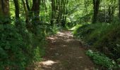 Trail Walking Lampaul-Guimiliau - petite st anne - Photo 4