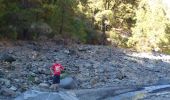 Tour Zu Fuß El Paso - Wikiloc - Caldera de taburiente Los Brecitos to Parking Barranco de las Angustias - Photo 2