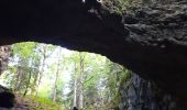 Tocht Stappen Saint-Martin-en-Vercors - grotte de la cheminée  - Photo 3