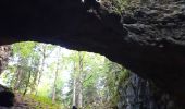 Percorso Marcia Saint-Martin-en-Vercors - grotte de la cheminée  - Photo 3