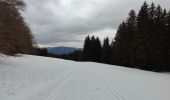 Trail Walking Autrans-Méaudre en Vercors - Pas de l'Ours - Photo 3