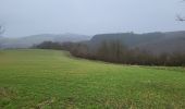 Trail Walking Nassogne - Masbourg 250124 - Photo 13