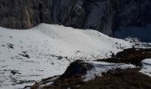 Tocht Sneeuwschoenen Villard-de-Lans -  Le plateau du Cornafion en raquettes en circuit - Photo 4