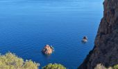 Trail Walking Piana - capo rosso - Photo 15