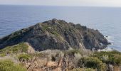 Trail Walking La Croix-Valmer - gigaro. CAP taillat, Cap lardier  - Photo 1