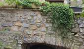 Tour Wandern Les Matelles - Matelles_St-Jean-de-cucules - Photo 3