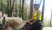 Trail Horseback riding Turquestein-Blancrupt - petit donon - Photo 5