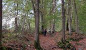 Trail Walking Sprimont - 15km Banneux Nov 2022 - Photo 5