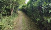 Trail Walking Hoeselt -  Sint-Huibrechts-Hern - Photo 4
