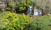 Trail Walking Port-Vendres - paullile - Cap bear via la mer retour via les vignes  - Photo 12