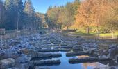 Tour Wandern Ciney - Domaine de Chevetogne / 2020-11-06 - Photo 10