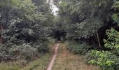 Trail Walking Mons - Lieu dit le Bois brûlé  - Photo 3