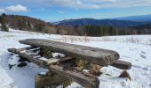 Randonnée Marche Rimbach-près-Masevaux - Rimbach - lacs du Neuweiher et des Perches par Rouge Gazon - Photo 10