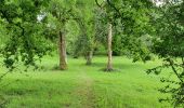 Tocht Stappen Cazaubon - Boucle Barbotan - Nord Est - Photo 6