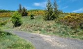 Trail Walking La Souche - Rocher d'Abraham par la Tour des Poignets - Photo 6