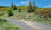 Tocht Stappen La Souche - Rocher d'Abraham par la Tour des Poignets - Photo 6