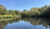 Randonnée Marche Tubize - De Halle à Tubize par la campagne  - Photo 1