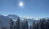 Percorso Racchette da neve Saint-Jean-de-Sixt - Le panorama du Danay (14) - Photo 19