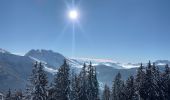 Tocht Sneeuwschoenen Saint-Jean-de-Sixt - Le panorama du Danay (14) - Photo 19