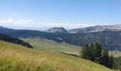 Excursión Bici de montaña Thônes - tour plateau glieres  - Photo 4